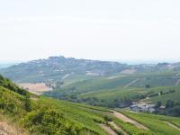 美しいサンセールの風景