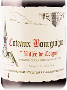 コトーブルギニヨン　Vallée de Coigny 2022