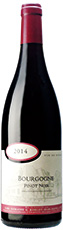 ブルゴーニュ　ピノ・ノワール　赤2022