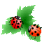 rI}[N